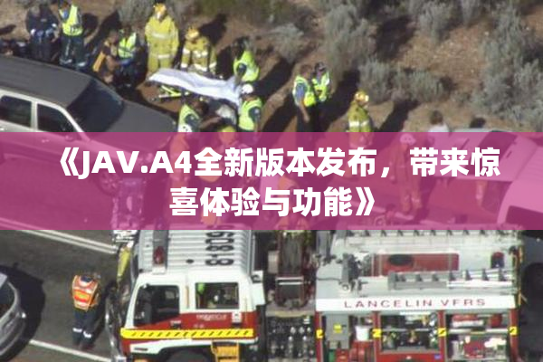 《JAV.A4全新版本发布，带来惊喜体验与功能》