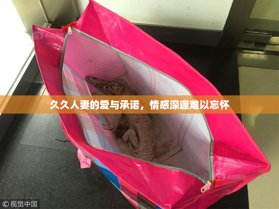 久久人妻的爱与承诺，情感深邃难以忘怀