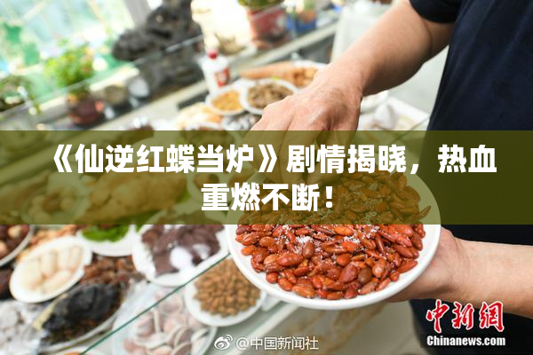 《仙逆红蝶当炉》剧情揭晓，热血重燃不断！