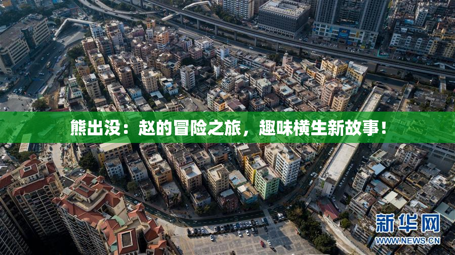 熊出没：赵的冒险之旅，趣味横生新故事！