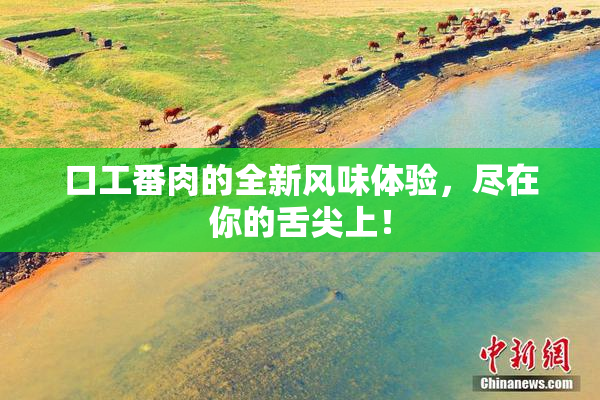 口工番肉的全新风味体验，尽在你的舌尖上！
