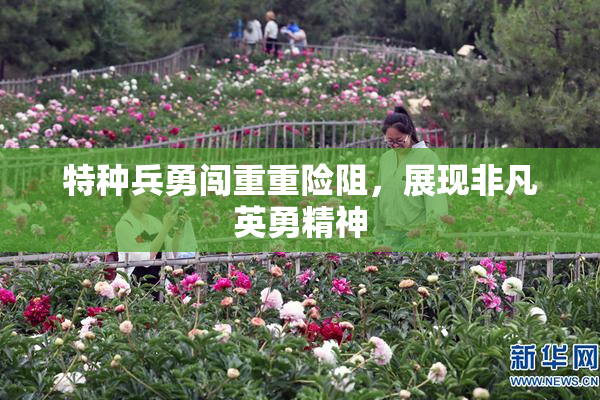 特种兵勇闯重重险阻，展现非凡英勇精神