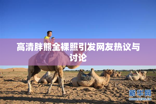 高清胖熊全裸照引发网友热议与讨论
