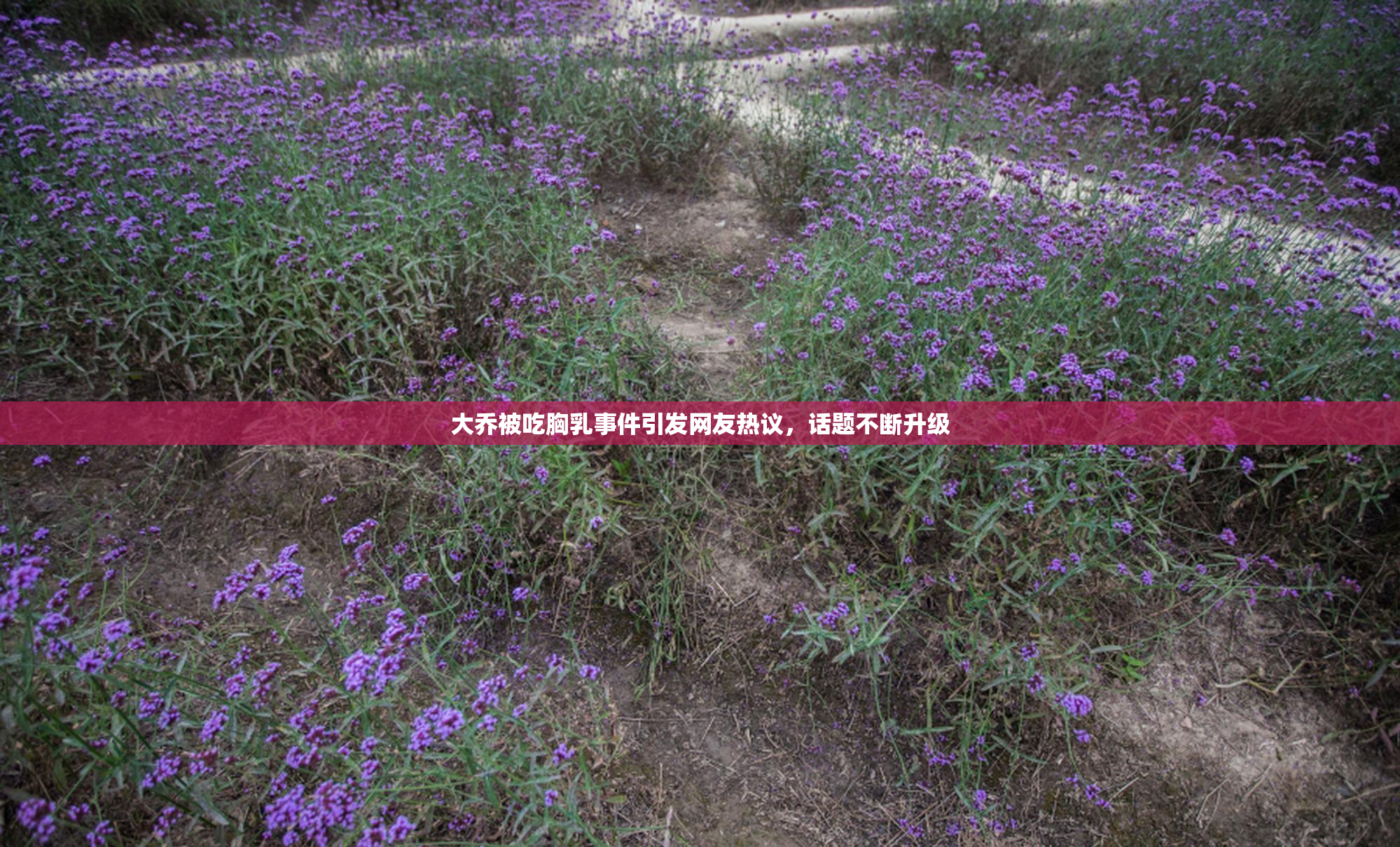 大乔被吃胸乳事件引发网友热议，话题不断升级