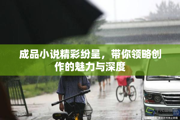 成品小说精彩纷呈，带你领略创作的魅力与深度