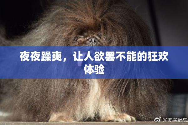 夜夜躁爽，让人欲罢不能的狂欢体验