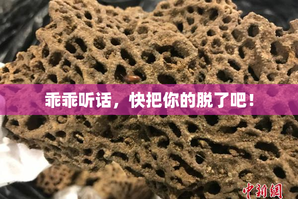 乖乖听话，快把你的脱了吧！