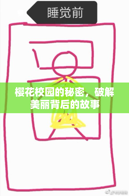 樱花校园的秘密，破解美丽背后的故事