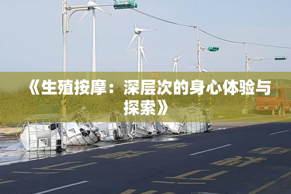 《生殖按摩：深层次的身心体验与探索》