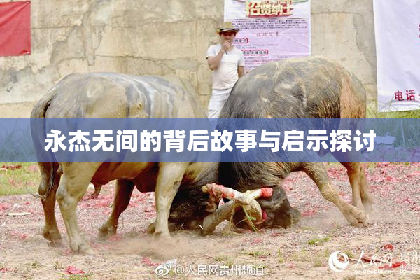 永杰无间的背后故事与启示探讨