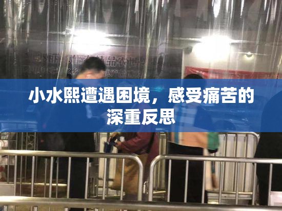 小水熙遭遇困境，感受痛苦的深重反思