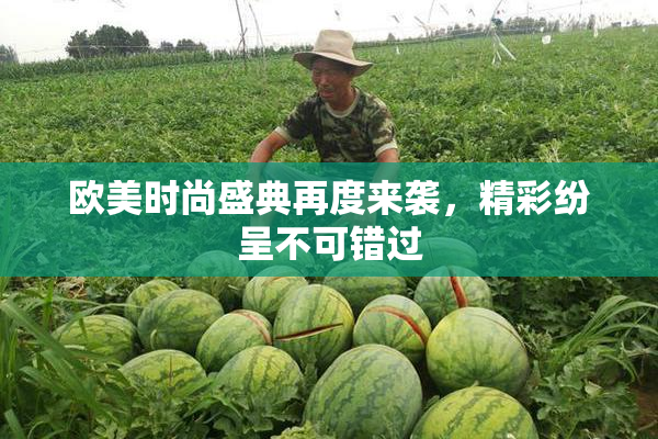 欧美时尚盛典再度来袭，精彩纷呈不可错过