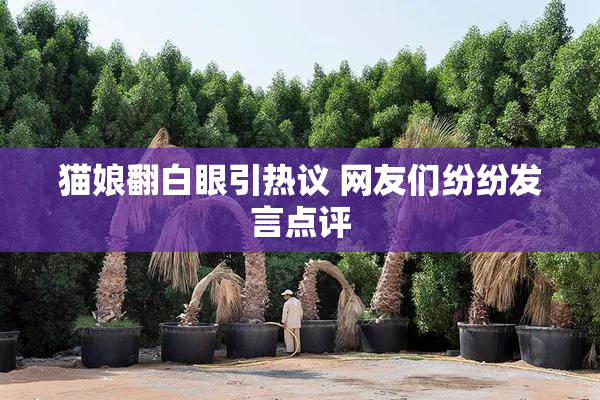 猫娘翻白眼引热议 网友们纷纷发言点评
