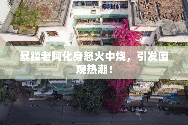 暴躁老阿化身怒火中烧，引发围观热潮！