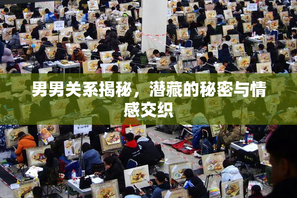 男男关系揭秘，潜藏的秘密与情感交织