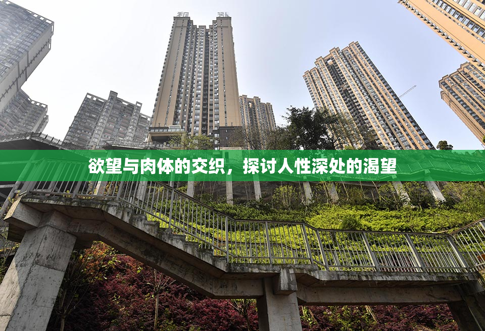 欲望与肉体的交织，探讨人性深处的渴望