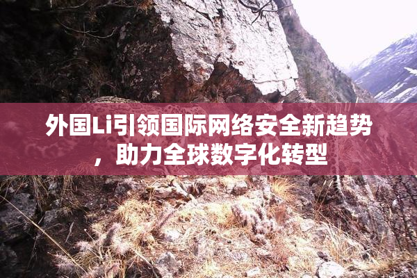 外国Li引领国际网络安全新趋势，助力全球数字化转型