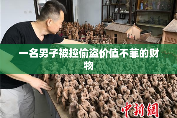 一名男子被控偷盗价值不菲的财物