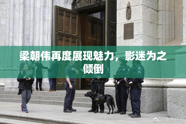 梁朝伟再度展现魅力，影迷为之倾倒