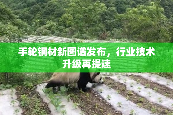 手轮钢材新图谱发布，行业技术升级再提速