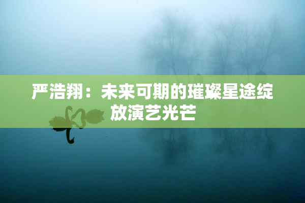 严浩翔：未来可期的璀璨星途绽放演艺光芒