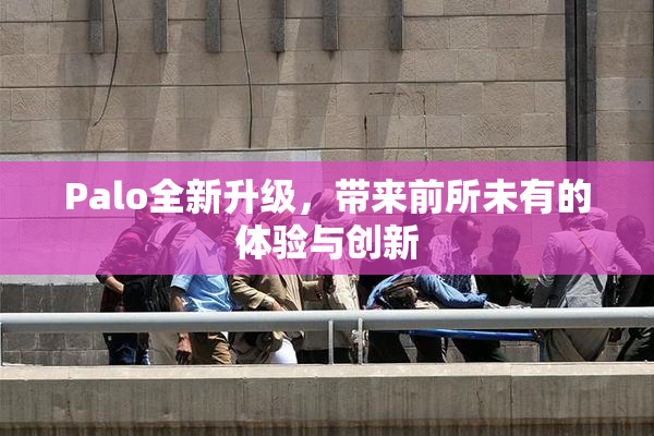 Palo全新升级，带来前所未有的体验与创新