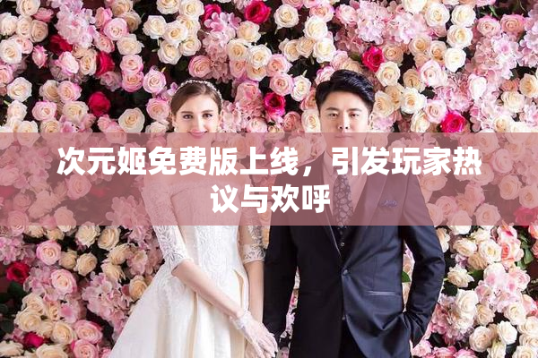 次元姬免费版上线，引发玩家热议与欢呼