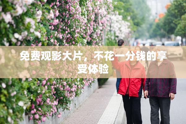 免费观影大片，不花一分钱的享受体验
