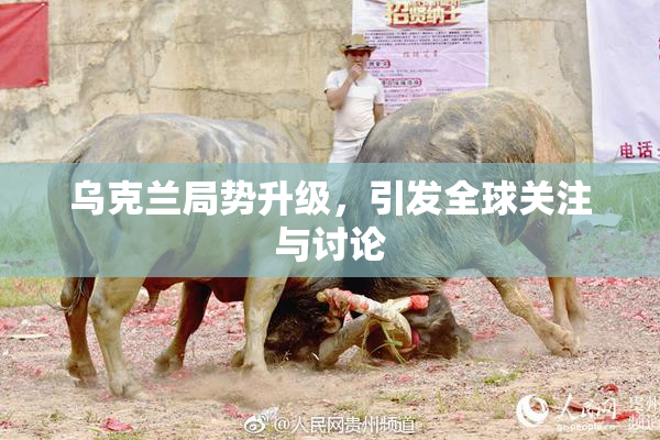 乌克兰局势升级，引发全球关注与讨论