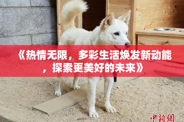 《热情无限，多彩生活焕发新动能，探索更美好的未来》