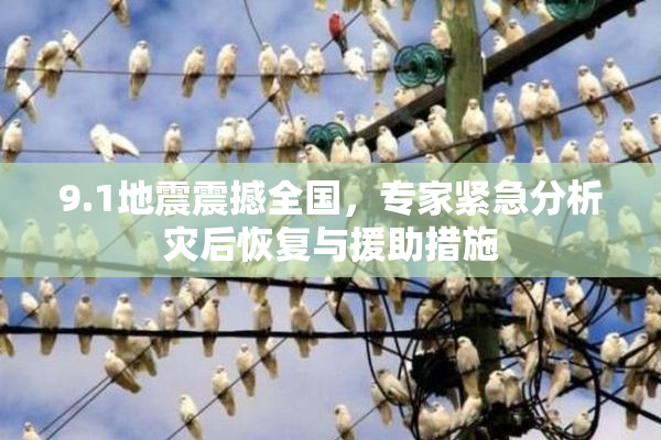 9.1地震震撼全国，专家紧急分析灾后恢复与援助措施