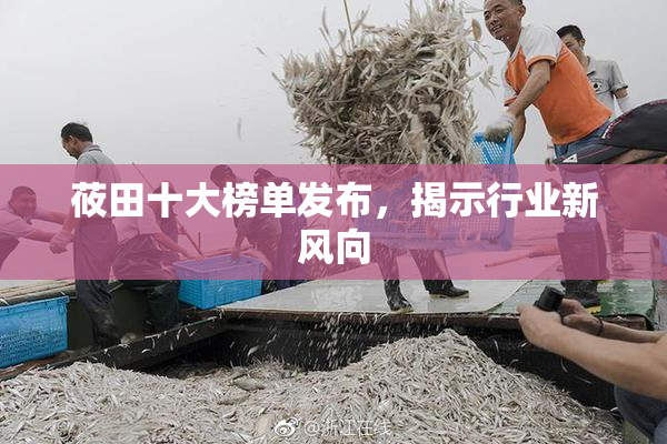 莜田十大榜单发布，揭示行业新风向