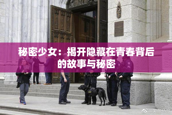秘密少女：揭开隐藏在青春背后的故事与秘密