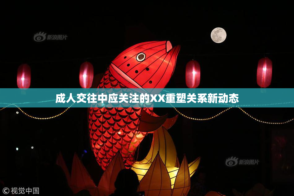 成人交往中应关注的XX重塑关系新动态