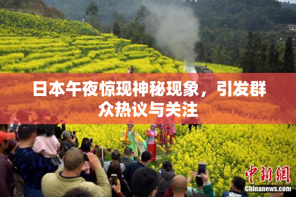 日本午夜惊现神秘现象，引发群众热议与关注