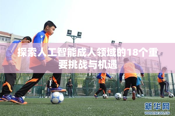 探索人工智能成人领域的18个重要挑战与机遇