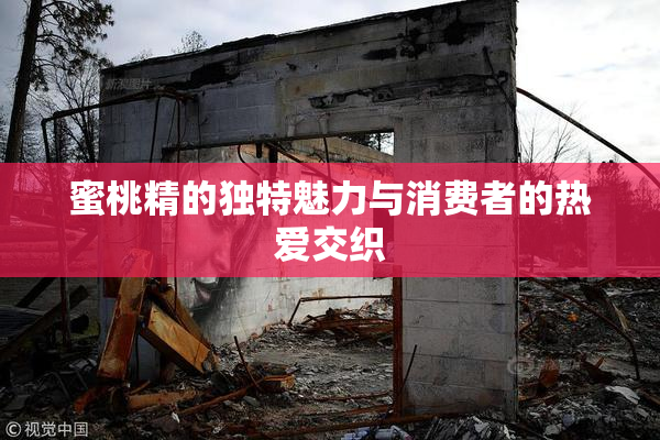 蜜桃精的独特魅力与消费者的热爱交织