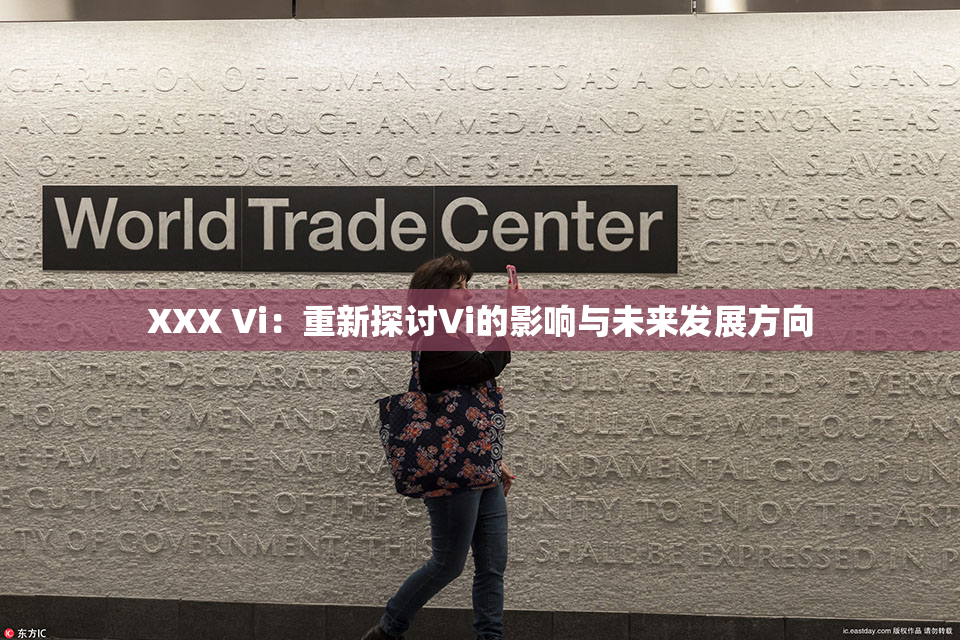 XXX Vi：重新探讨Vi的影响与未来发展方向