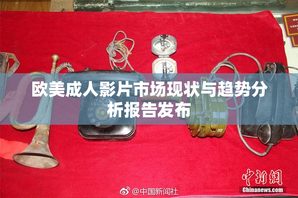 欧美成人影片市场现状与趋势分析报告发布