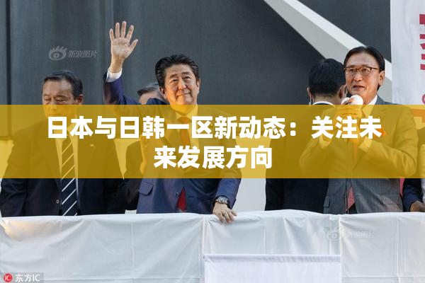 日本与日韩一区新动态：关注未来发展方向