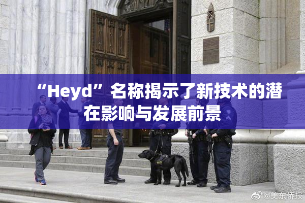 “Heyd”名称揭示了新技术的潜在影响与发展前景