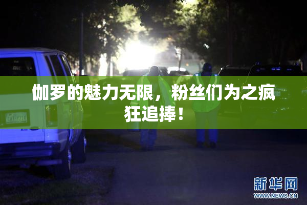 伽罗的魅力无限，粉丝们为之疯狂追捧！