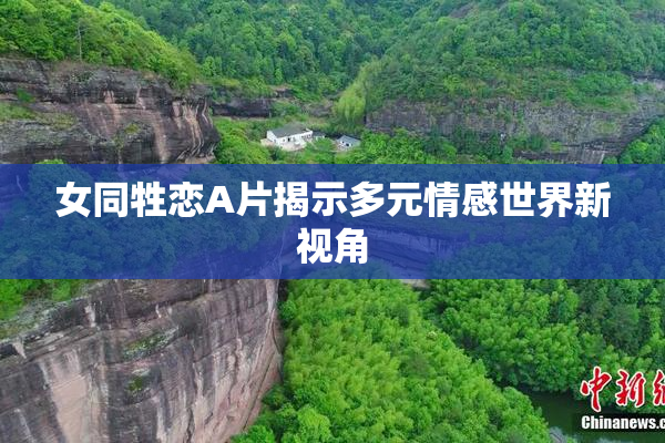 女同牲恋A片揭示多元情感世界新视角