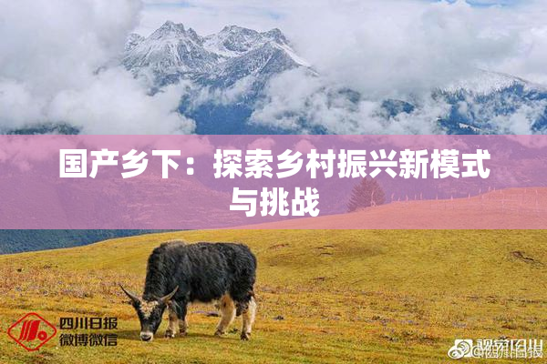 国产乡下：探索乡村振兴新模式与挑战