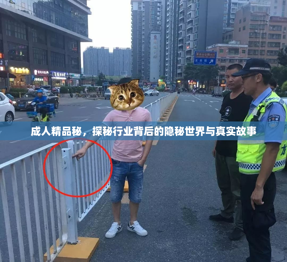 成人精品秘，探秘行业背后的隐秘世界与真实故事