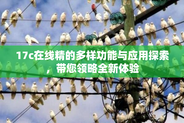 17c在线精的多样功能与应用探索，带您领略全新体验
