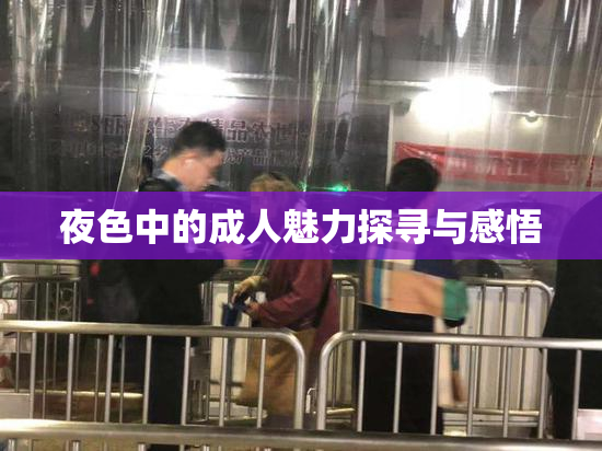 夜色中的成人魅力探寻与感悟
