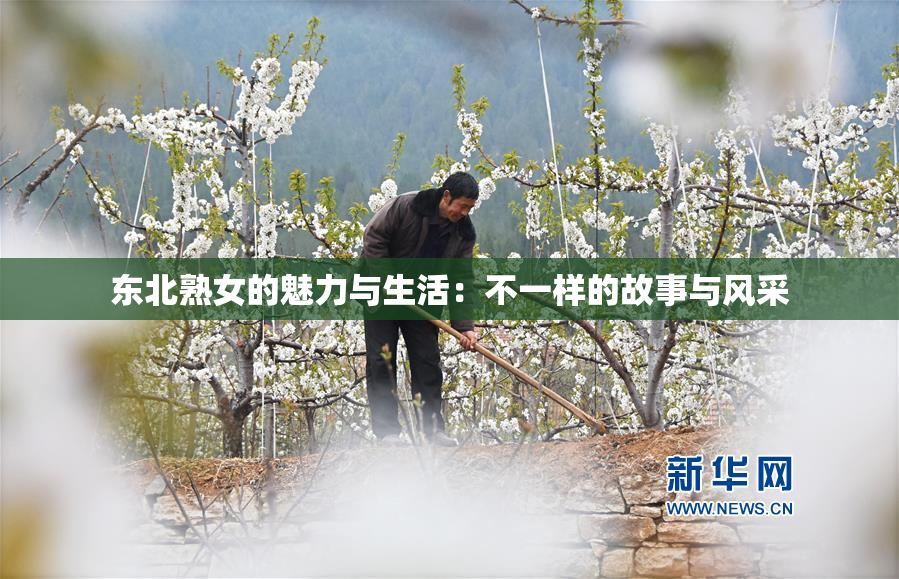 东北熟女的魅力与生活：不一样的故事与风采