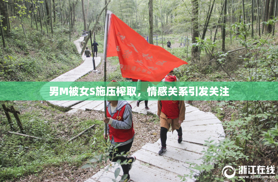 男M被女S施压榨取，情感关系引发关注