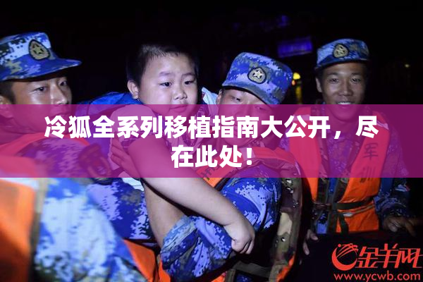 冷狐全系列移植指南大公开，尽在此处！